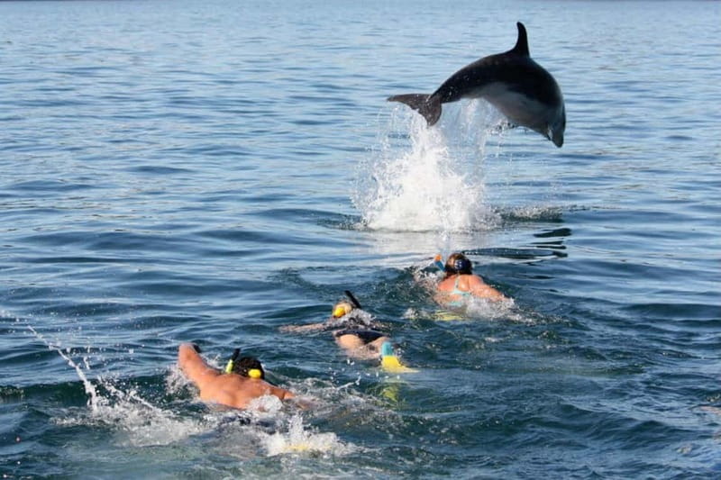 City Of Side: Dolphin Island Boat or Side Boat Tour Options - Key points to know before booking