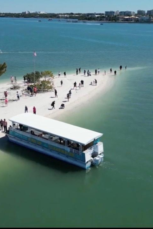 Clearwater Beach: Dolphin & Island Sandbar Cruise - Key points to know before you book