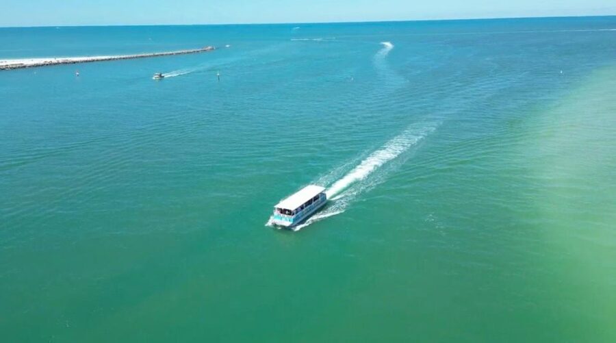 Clearwater Beach: Dolphin & Island Sandbar Cruise - A family-friendly boat with practical extras