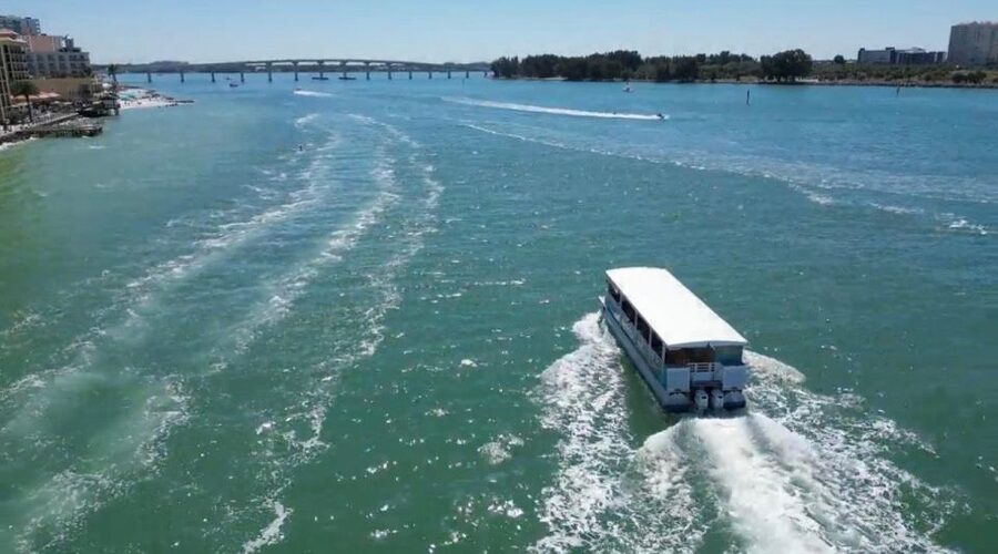 Clearwater Beach: Dolphin & Island Sandbar Cruise - What to bring for a better two hours