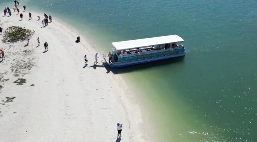 Clearwater Beach: Dolphin & Island Sandbar Cruise - Who will enjoy this cruise most