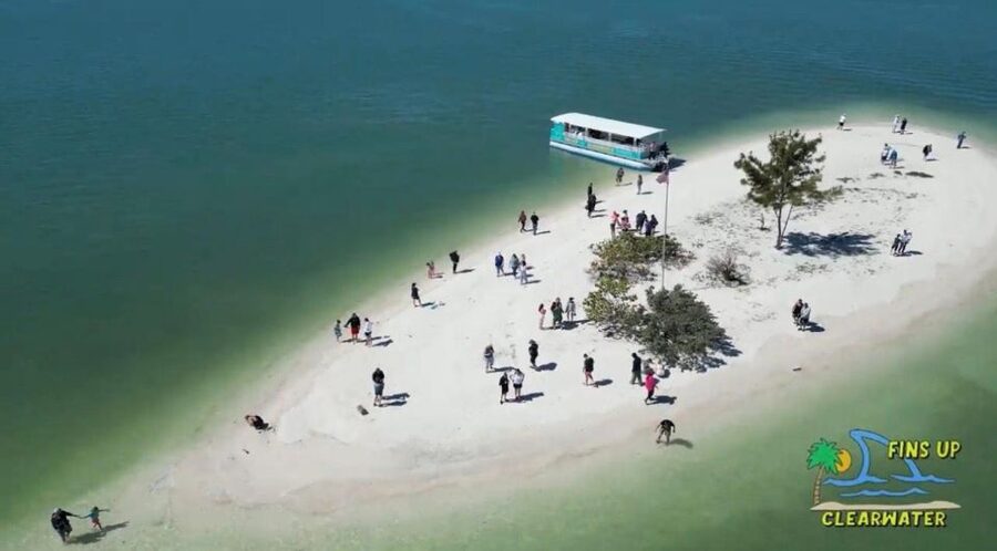 Clearwater Beach: Dolphin & Island Sandbar Cruise - Is the $28 price worth it?