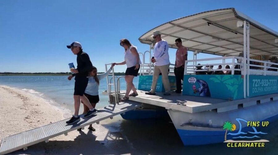 Clearwater Beach: Dolphin & Island Sandbar Cruise - Should you book the Fins Up Clearwater cruise?