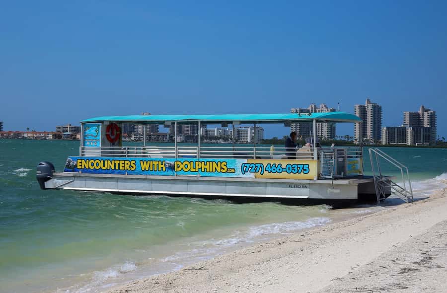 Clearwater: Dolphin Cruise with an Island Adventure - Setting out from 25 Causeway Blvd