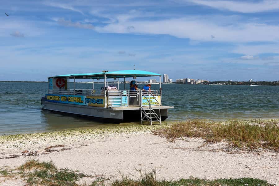 Clearwater: Dolphin Cruise with an Island Adventure - What the guide adds to the cruise