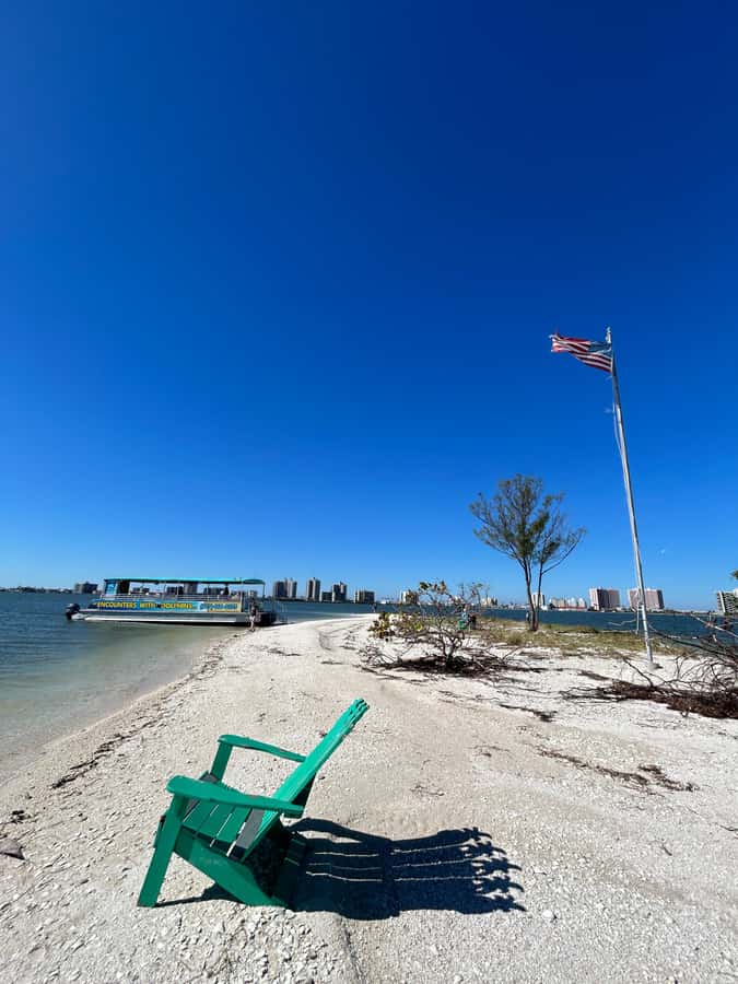 Clearwater: Dolphin Cruise with an Island Adventure - Is $36 a fair price?
