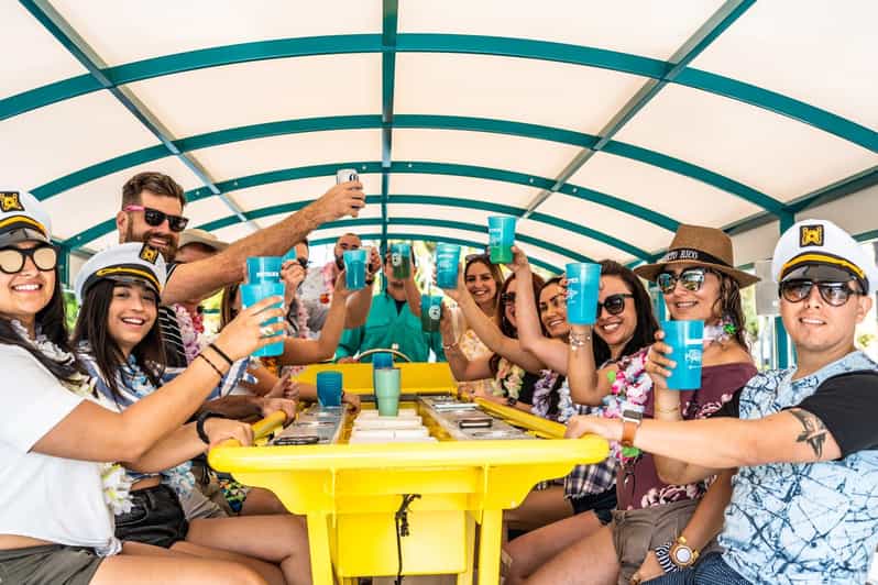 Clearwater: Island Hop and Dolphin Watch Boat Tour - Cruising Clearwater Bay in a Social Boat