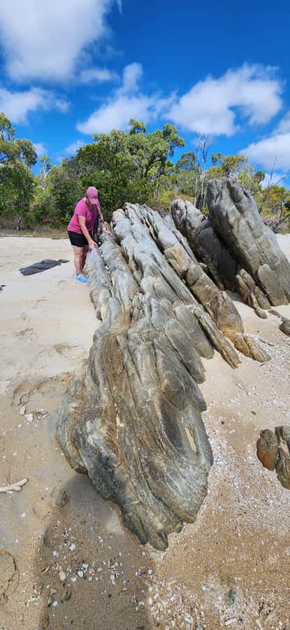 Coastal Beaches Adventures: Dingo Beach & Cape Gloucester - What the guide adds