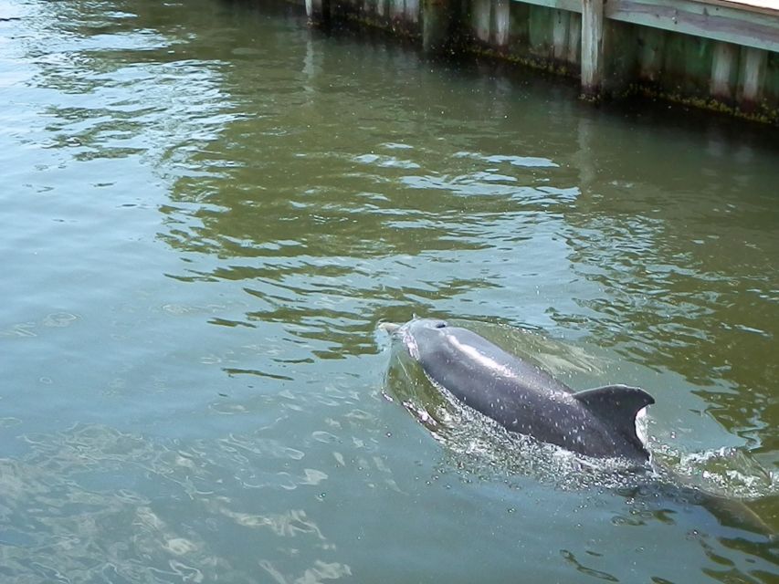 Cocoa Beach: Thousand Islands Banana River Boat Cruise - The covered pontoon makes a difference