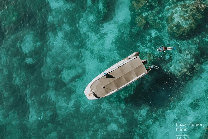 Coromandel Adventure and Wildlife Boat Tour to Aldermen Islands - Why the Aldermen Islands Make This Boat Trip Special