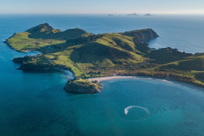 Coromandel Adventure and Wildlife Boat Tour to Aldermen Islands - Meeting at Tairua Marina