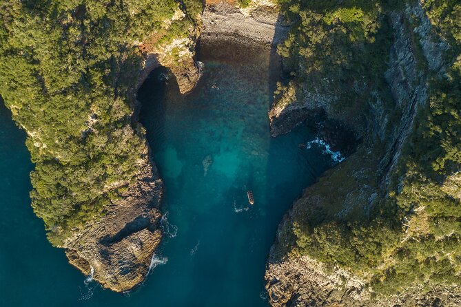 Coromandel Adventure and Wildlife Boat Tour to Aldermen Islands - Seasonal Snorkeling Around the Islands