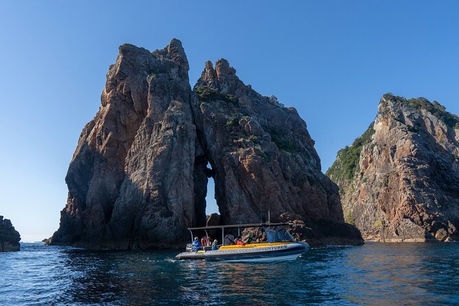 Coromandel Adventure and Wildlife Boat Tour to Aldermen Islands - What the $102.39 Price Really Covers