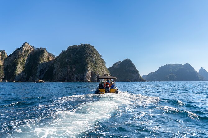 Coromandel Adventure and Wildlife Boat Tour to Aldermen Islands - Who Will Enjoy This Two-Hour Adventure