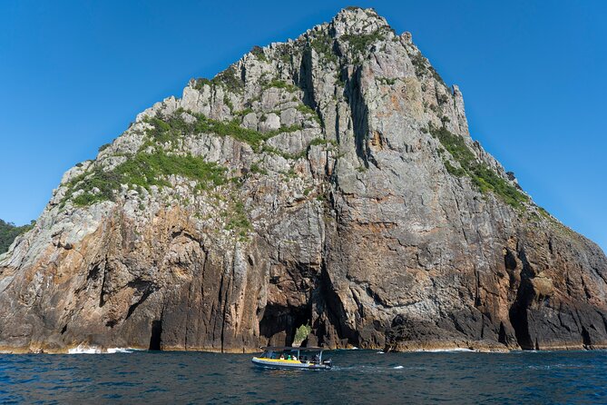 Coromandel Adventure and Wildlife Boat Tour to Aldermen Islands - Weather, Cancellations, and Planning Around Tairua