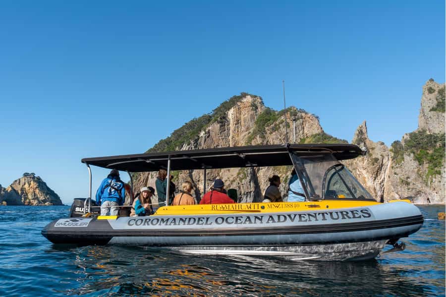 Coromandel: Aldermen Islands Marine Reserve Wildlife Cruise - Key points before you book