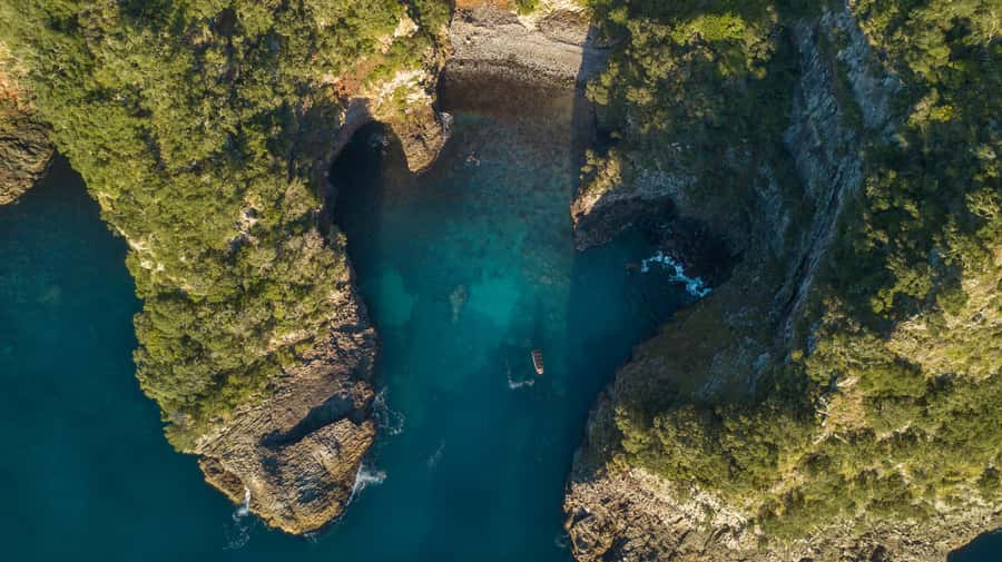 Coromandel: Aldermen Islands Marine Reserve Wildlife Cruise - Wildlife watching requires patience and luck