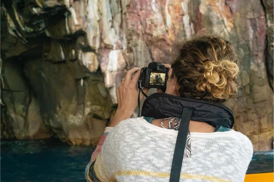 Coromandel: Aldermen Islands Marine Reserve Wildlife Cruise - Who will get the most from this trip?