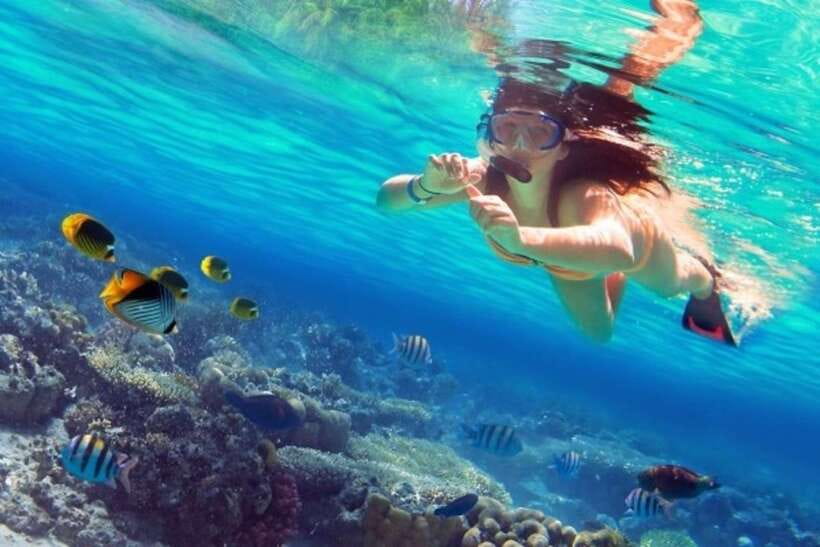 Coron: Coastal Cliffs, Beach & Malcapuya Island Hopping Tour - Three islands, one long day from Coron