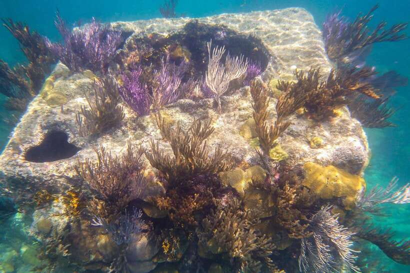 Coron: Coastal Cliffs, Beach & Malcapuya Island Hopping Tour - The banca ride shapes the whole experience