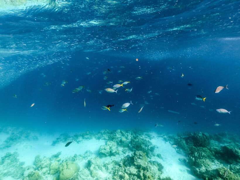 Coron Island Hopping: Super Ultimate Private Tour - The private boat, crew, and family details