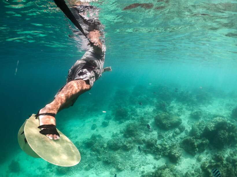 Coron Island Hopping: Super Ultimate Private Tour - Coral Garden and the sea clam sanctuary change the mood