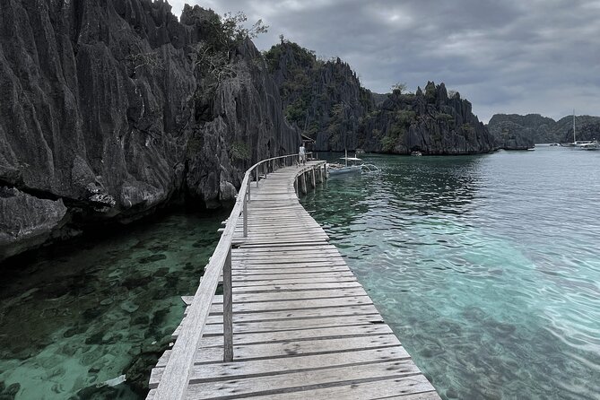 Coron Island Ultimate Tour: Private Boat and Tour Guide - Barracuda Lake, rock formations below the surface