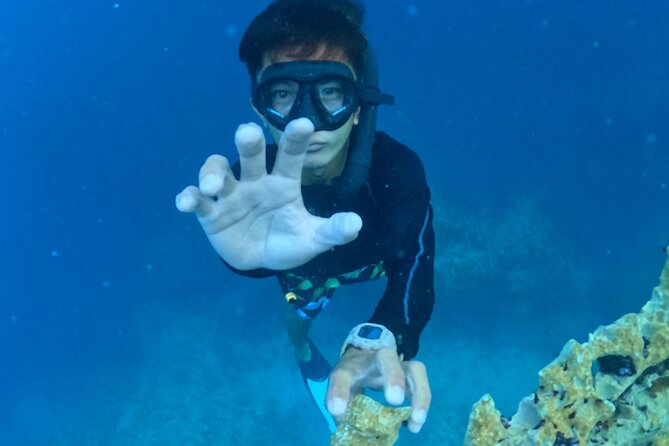 Coron Island Ultimate Tour: Private Boat and Tour Guide - Who will enjoy this boat day most