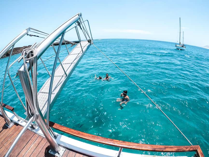 Corralejo: Snorkeling on Lobos Island & Return Ferry Ticket - What the 25-minute snorkeling stop is like