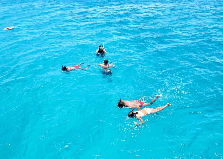 Corralejo: Snorkeling on Lobos Island & Return Ferry Ticket - Who should book this experience?