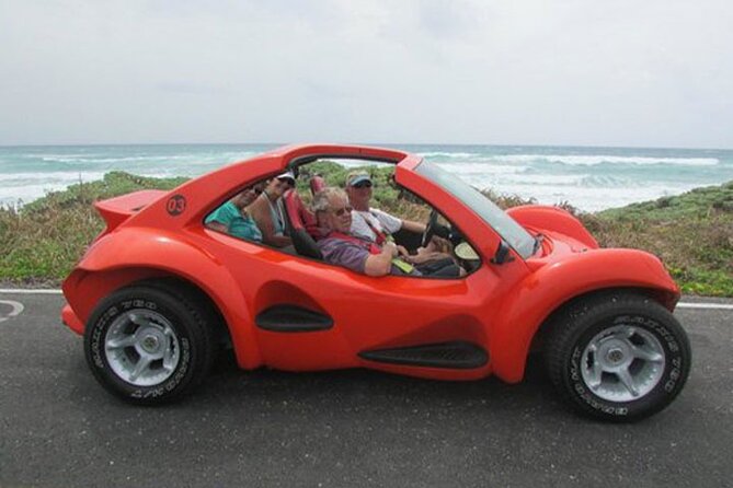 Cozumel Buggy Island Tour, Otoch Mayan Experience & Clear Boat - Food, drinks, and the value of $94