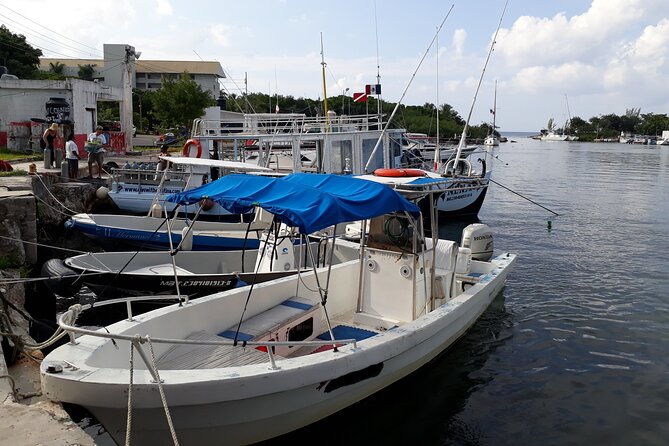 Cozumel Private 4-Hour Boat Tour to Passion Island - Food, drinks, and the floating lunch idea