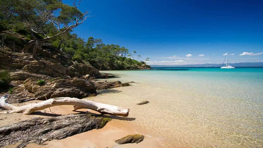 Cruise of the 2 Islands: Porquerolles & Port-Cros with stops - Two islands from one small boat