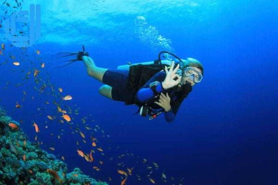 Da Nang: Cham Island Boat Day Trip with Snorkeling and Lunch - Key points to know before booking