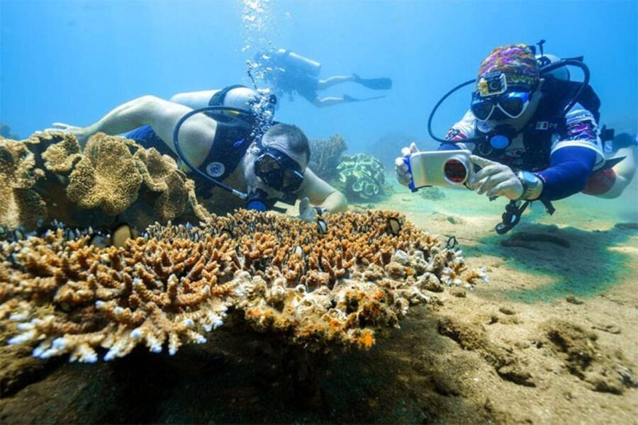Da Nang: Cham Island Boat Day Trip with Snorkeling and Lunch - Hai Tang pagoda and Tan Hiep seafood market