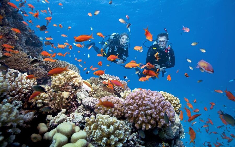 Da Nang: Cham Island Boat Day Trip with Snorkeling and Lunch - Snorkeling in the Cu Lao Cham Marine Reserve