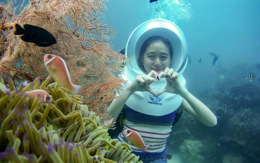 Da Nang: Cham Island Boat Day Trip with Snorkeling and Lunch - Bai Ong Beach and the return to Da Nang