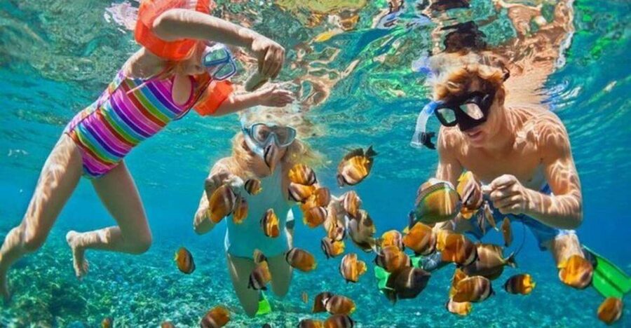 Da Nang: Cham Island Boat Day Trip with Snorkeling and Lunch - Who should book this Cham Island trip?