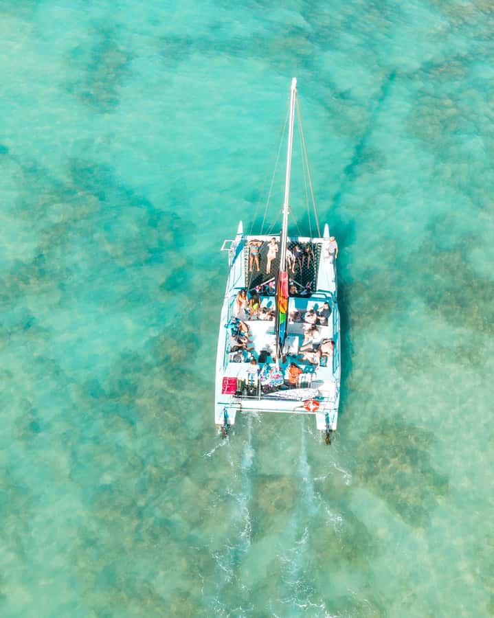 Dakhla Catamaran Tour & Dragon Island Visit - Key points to know before you book