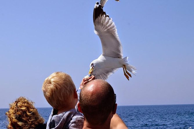 Day Cruise in the Elafiti Islands from Dubrovnik - Is $78.44 a fair price?