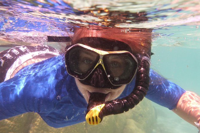 Day Cruise & Island Tour - Snorkel/Wildlife/Paddleboard/Islands - Why this short cruise works so well