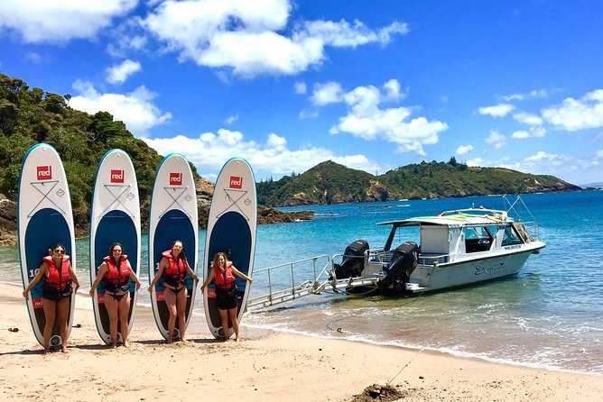 Day Cruise & Island Tour - Snorkel/Wildlife/Paddleboard/Islands - Snorkeling, paddleboarding, and marine life