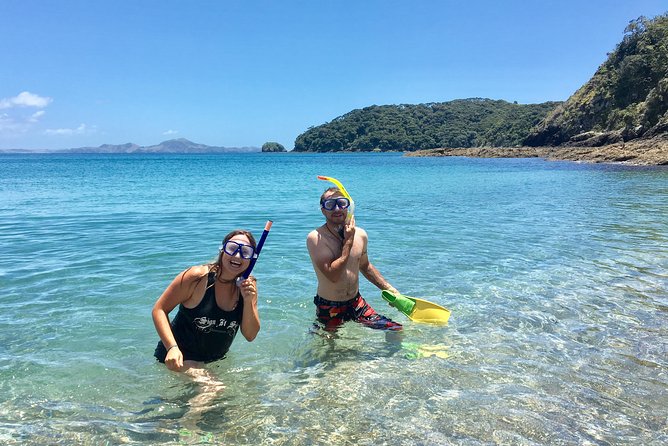 Day Cruise & Island Tour - Snorkel/Wildlife/Paddleboard/Islands - Families, couples, solo visitors, and cruise passengers