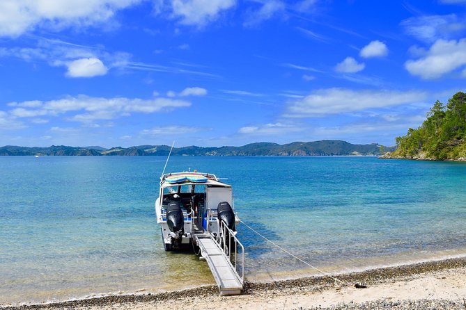 Day Cruise & Island Tour - Snorkel/Wildlife/Paddleboard/Islands - Roberton Island and its lookout walk