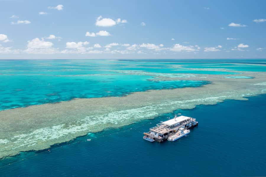 Daydream Island: Great Barrier Reef Adventure Cruise - What the outer reef pontoon is like