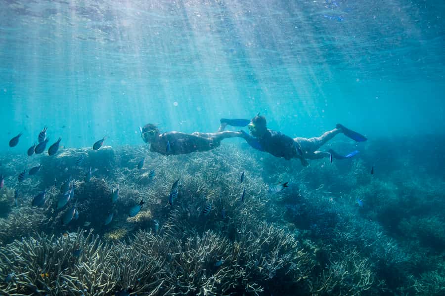 Daydream Island: Great Barrier Reef Adventure Cruise - Who will enjoy this cruise most
