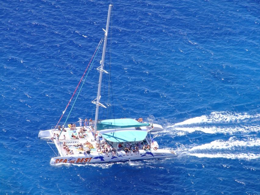 Desertas Islands Full-Day Catamaran Trip from Funchal - Should you book the Desertas Islands catamaran trip?