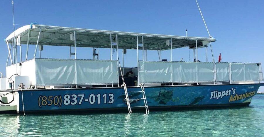 Destin: Crab Island Catamaran Tour with Dolphin Watching - The short dolphin search near Destin
