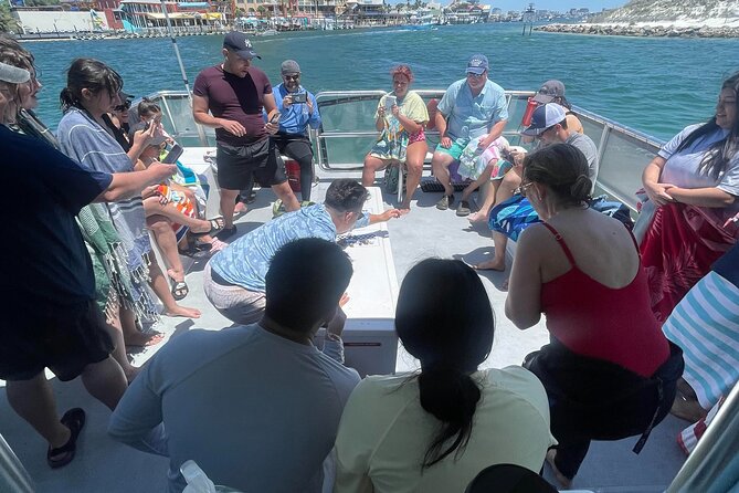 Destin Crab Island Tour in Catamaran - My verdict on Flipper’s Adventures