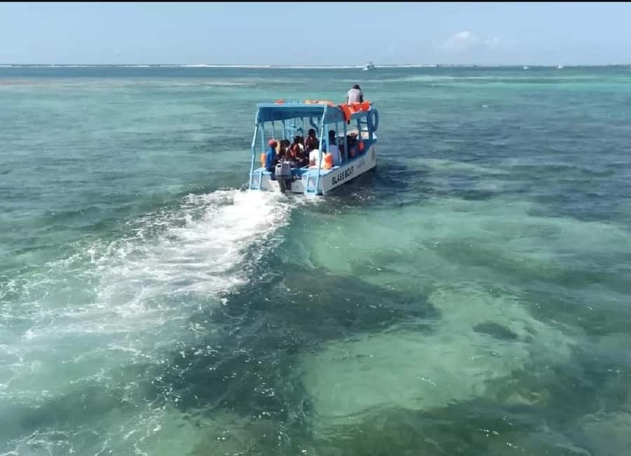 Diani Beach: Glass Boat Cruise to Robinson Island - Key points to know before you go